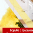 Борьба с грызунами в доме - обязанность управляющей компании - Город Мирный