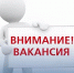 В комитет имущественных отношений требуются главные специалисты - Мирнинский район