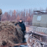 b9e41f96-4ea3-4f89-ab37-aa1b3295f74f.jpg - Мирнинский район